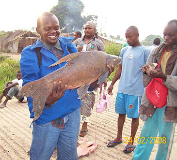 Record photograph for Labeo macrostoma